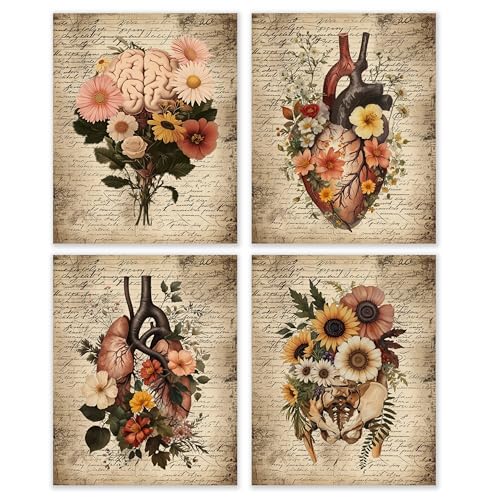 BESERH Flower Anatomy Wall Decor, Vintage Medical Wall Art Prints, Antique Floral Anatomical Organs Posters for Nursing School Classroom Medical Office, 8x10 Inches Set of 4 Unframed