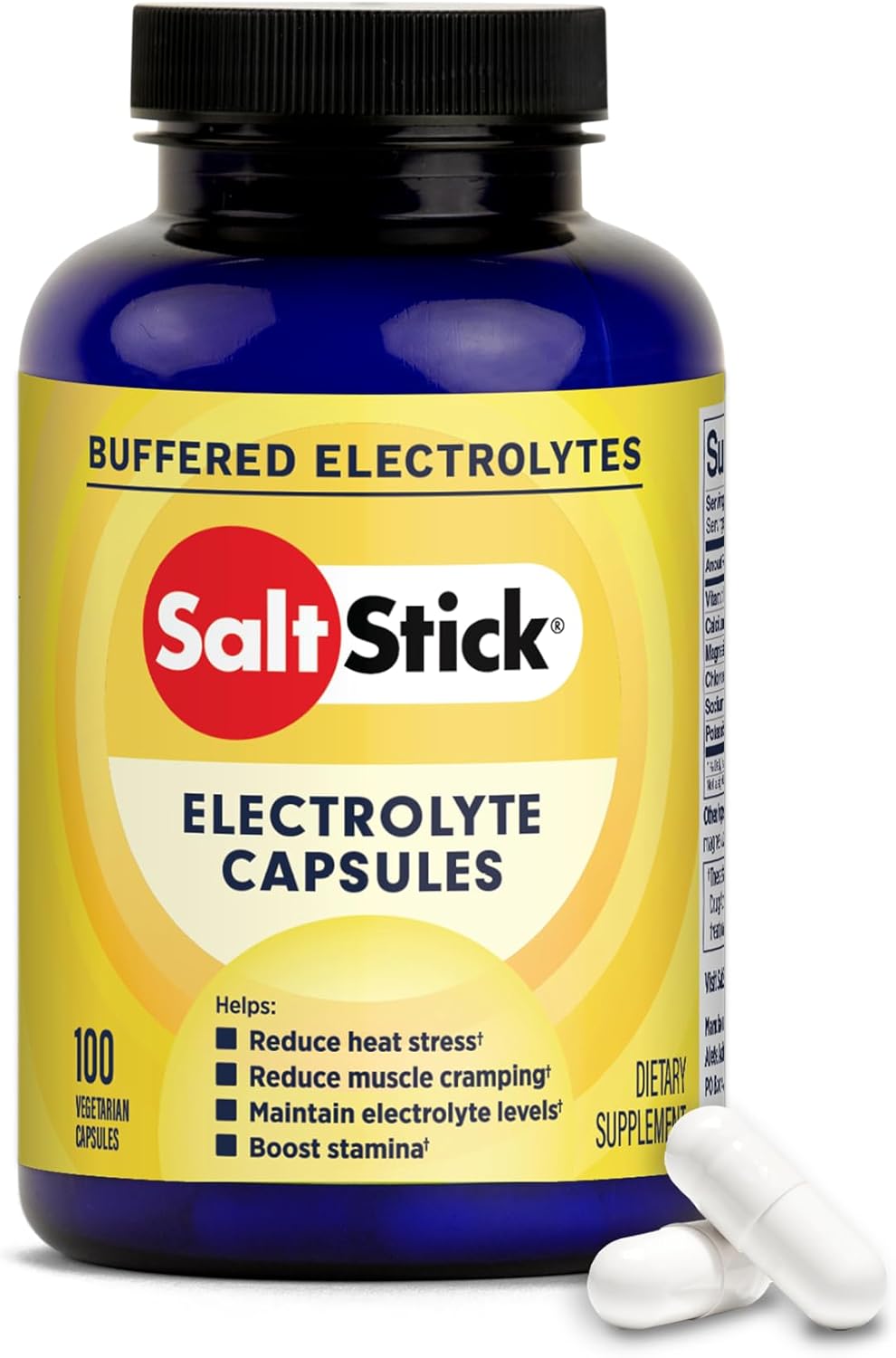 SaltStick Electrolyte Replacement Capsules (100 Count)