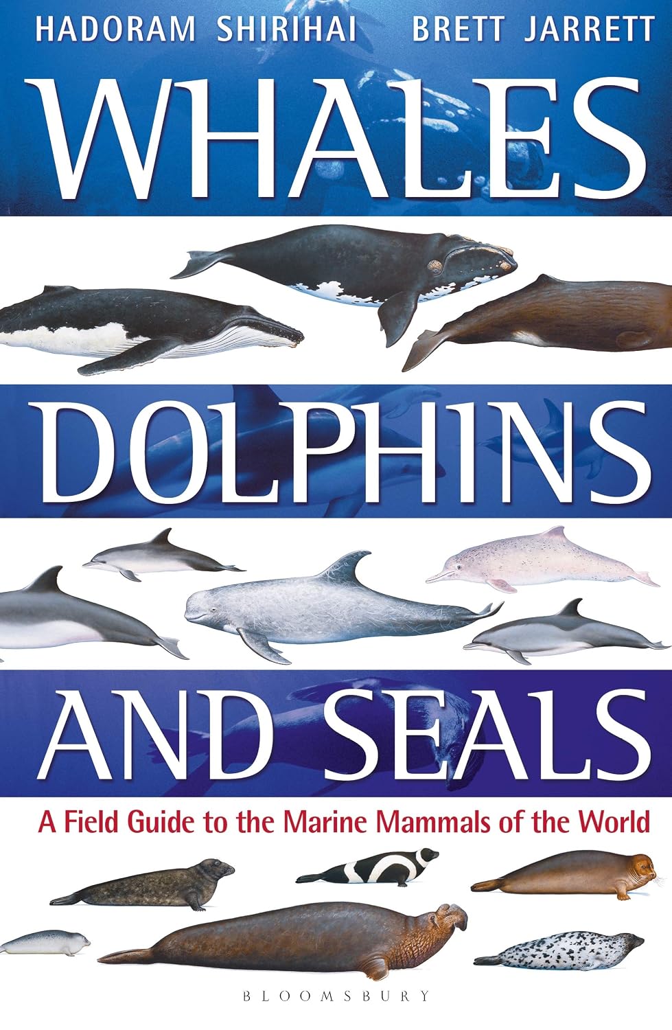 Whales, Dolphins and Seals: A Field Guide to Marine Mammals of the World