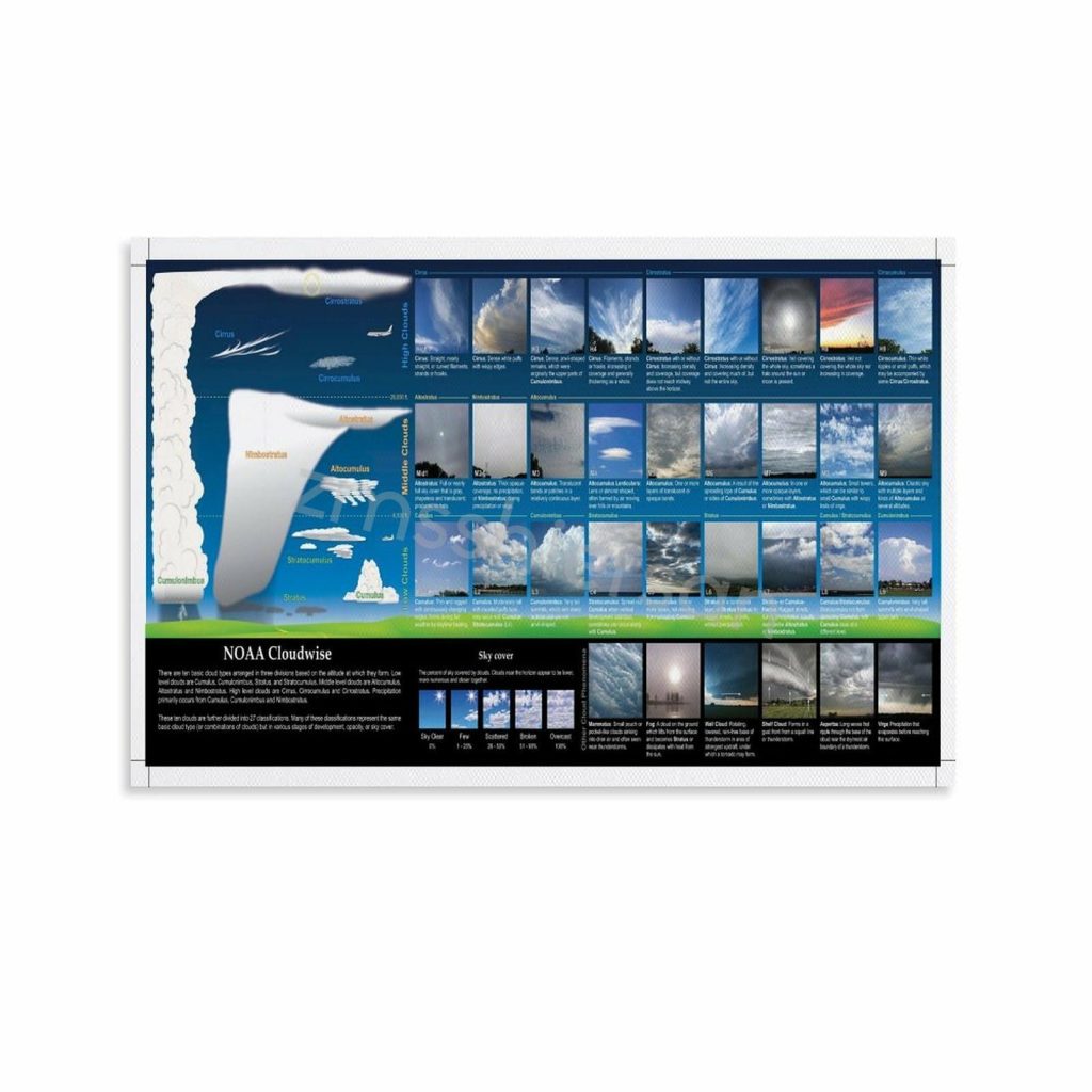 Cloud Identification Poster