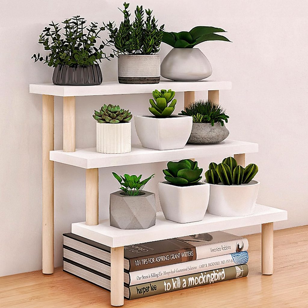 Desk Plant