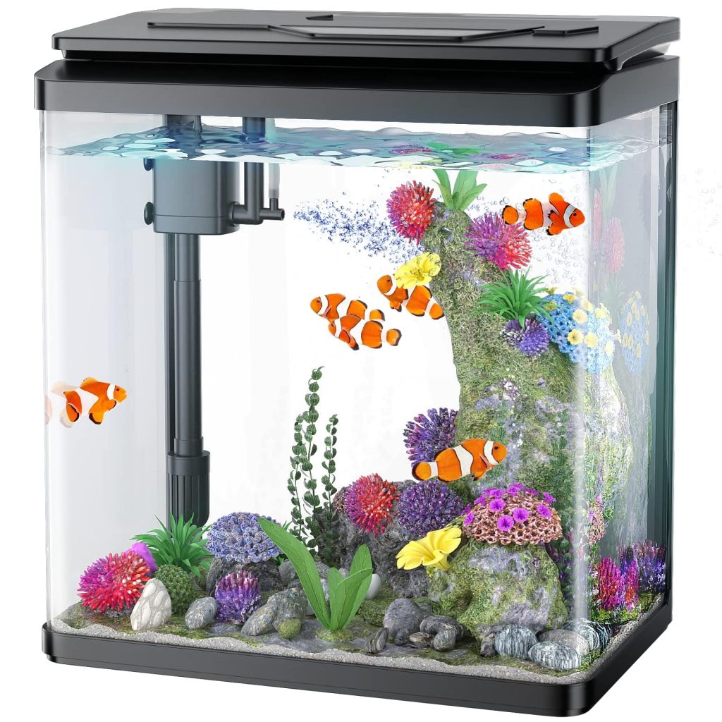 Fish Tank