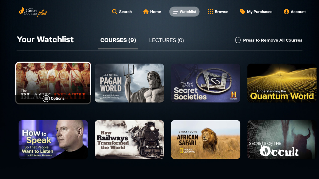 Online Course Subscription